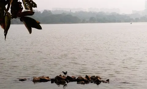 Hebbal Lake
